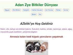 'azbitki.com' screenshot