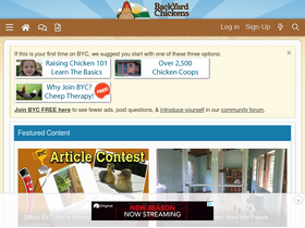 'backyardchickens.com' screenshot