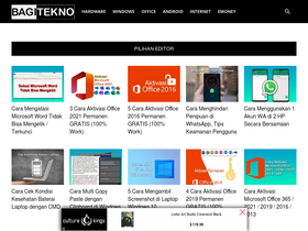 'bagitekno.net' screenshot