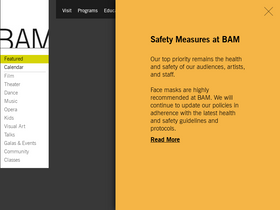 'bam.org' screenshot
