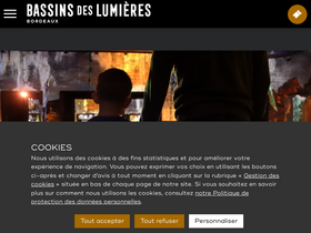 'bassins-lumieres.com' screenshot