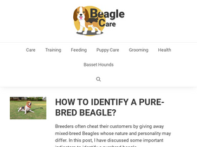 'beaglecare.com' screenshot