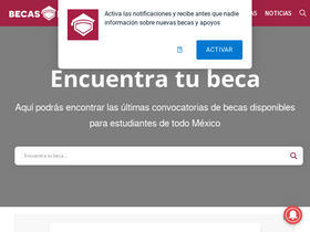 'becasmexico.org' screenshot