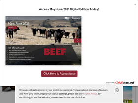 'beefmagazine.com' screenshot
