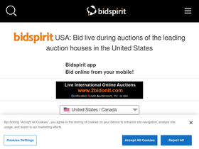'bidspirit.com' screenshot