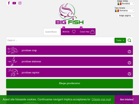 'bigfish.ro' screenshot