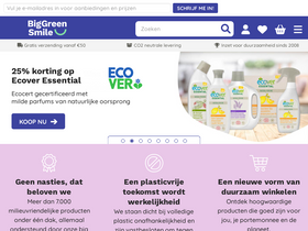'biggreensmile.nl' screenshot