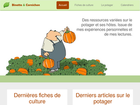 'binette-et-cornichon.com' screenshot