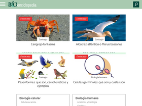 'bioenciclopedia.com' screenshot