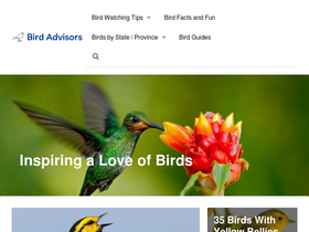 'birdadvisors.com' screenshot