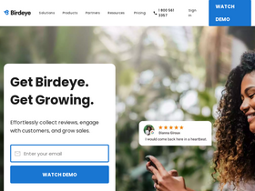 'birdeye.com' screenshot
