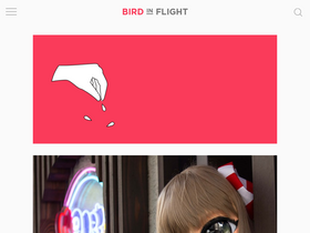 'birdinflight.com' screenshot