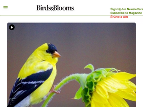 'birdsandblooms.com' screenshot