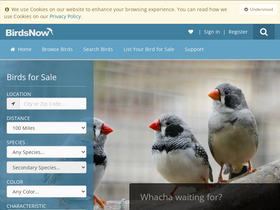 'birdsnow.com' screenshot