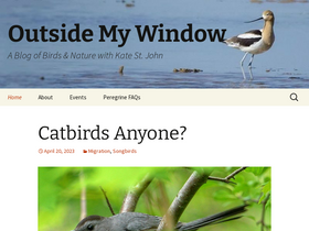 'birdsoutsidemywindow.org' screenshot