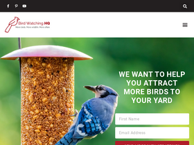 'birdwatchinghq.com' screenshot