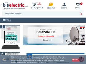 'bis-electric.com' screenshot