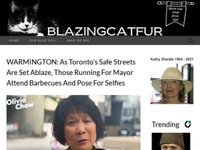 'blazingcatfur.ca' screenshot