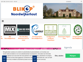 'blikopnoordwijkerhout.nl' screenshot
