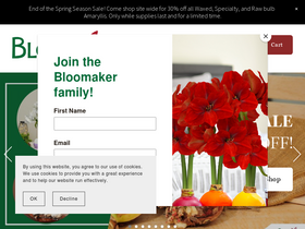 'bloomaker.com' screenshot