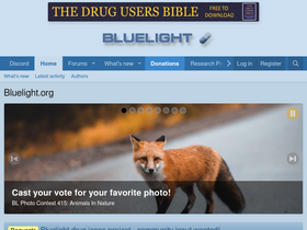 'bluelight.org' screenshot