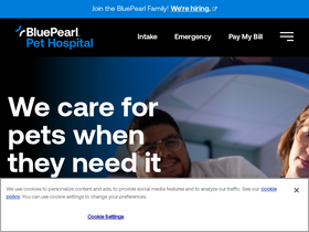'bluepearlvet.com' screenshot
