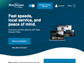 'bluestreamfiber.com' screenshot