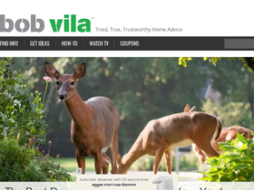 'bobvila.com' screenshot