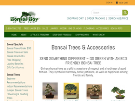 'bonsaiboy.com' screenshot