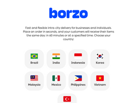 'borzodelivery.com' screenshot