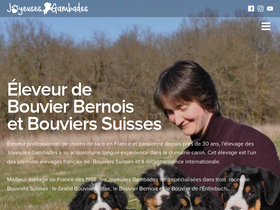 'bouvier-suisse.com' screenshot