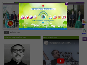 'bpsc.gov.bd' screenshot