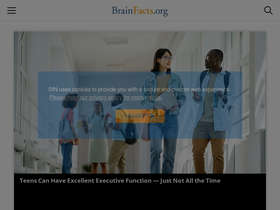'brainfacts.org' screenshot
