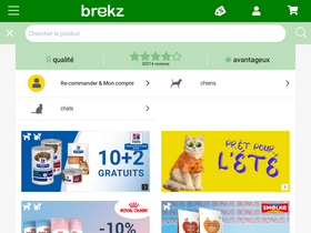 'brekz.fr' screenshot