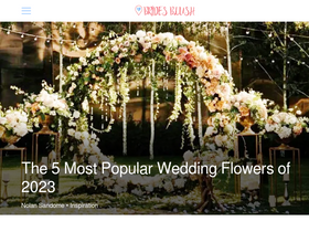 'bridesblush.com' screenshot