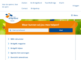 'bridge.nl' screenshot