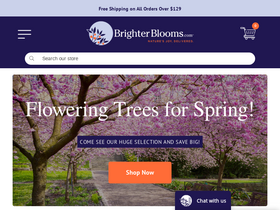 'brighterblooms.com' screenshot