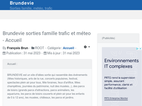 'brundevie.com' screenshot