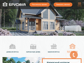 'brusina.ru' screenshot