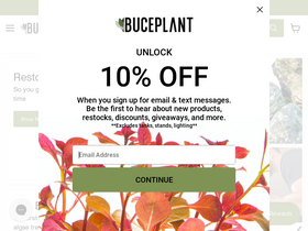 'buceplant.com' screenshot