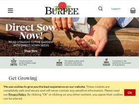 'burpee.com' screenshot