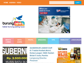 'burungnews.com' screenshot