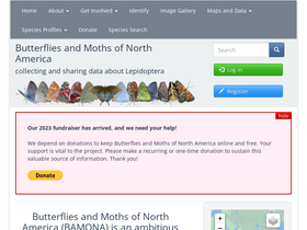 'butterfliesandmoths.org' screenshot