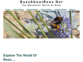 'buzzaboutbees.net' screenshot