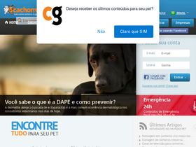 'cachorrogato.com.br' screenshot
