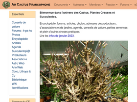 'cactuspro.com' screenshot