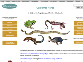 'californiaherps.com' screenshot