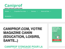 'caniprof.com' screenshot
