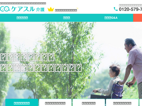 'caresul-kaigo.jp' screenshot