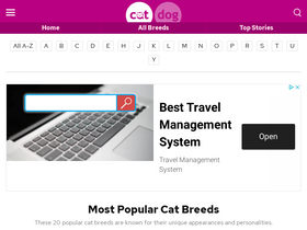 'catbreedslist.com' screenshot